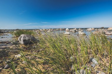 güneşli bir gün sahilde kayalık deniz
