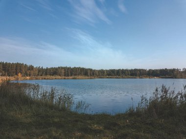 alanlar ve güneşli gün orman gölde Letonya ile kırsal alanının havadan görünümü