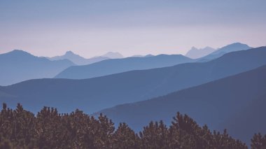 Batı Karpat dağ başında bulutlar ve sis kaplı Güz