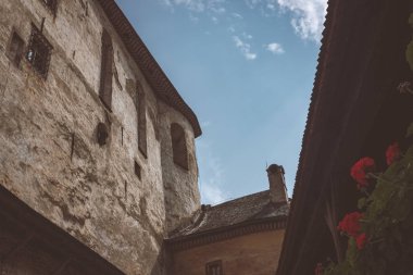 Harabeleri eski kale tuğla ve taş, uçurumun üzerinde Slovakya'da mimari detaylar terk 