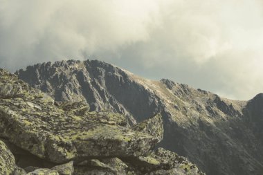 Slovakya'daki Tatra Dağları Rocky keskin dağ başında bulutlar ve sis