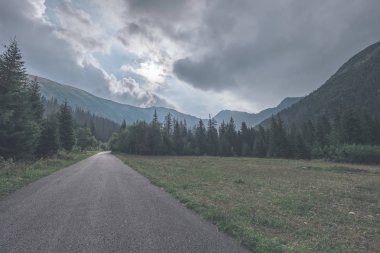 Orman dağlarında kadar önde gelen Asfaltlı yol