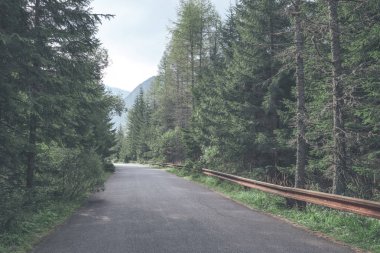 Ağaçları saran ile kırsal köy çakıl yol yaz aylarında 