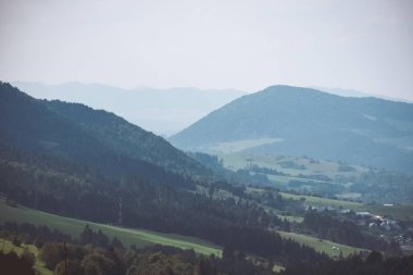 Batı Karpat Dağları'nda sisli ormanın panoramik görünüm