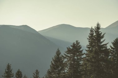 tepe üstleri ve ormanlar Slovakya'daki Tatra Dağları'nda yükselip sabah ışık