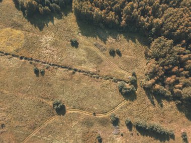 alanları ve yalnız ağaçlar, dokulu arka plan ile kırsal bölgenin havadan görünümü