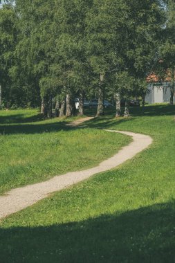 Ağaçları saran ile kırsal köy çakıl yol yaz aylarında 