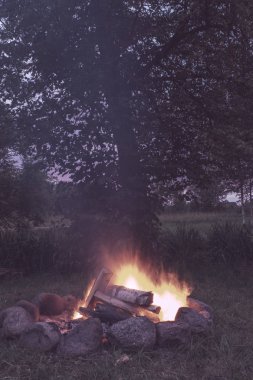 orman içinde şömine, doğa yaz aylarında kamp yanıyor 