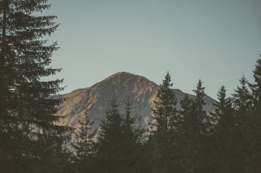 tepe üstleri ve ormanlar Slovakya'daki Tatra Dağları'nda yükselip sabah ışık