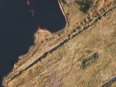 alanlar ve güneşli gün orman gölde Letonya ile kırsal alanının havadan görünümü