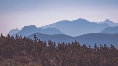 Batı Karpat dağ başında bulutlar ve sis kaplı Güz