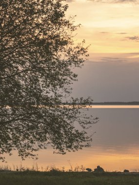ağaç siluetleri ve kızıl gökyüzü arka plan ile renkli günbatımı