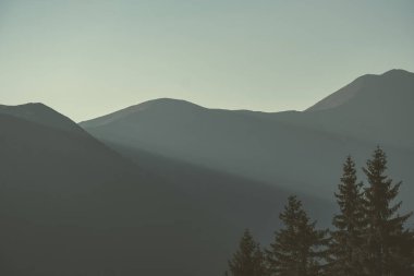 tepe üstleri ve ormanlar Slovakya'daki Tatra Dağları'nda yükselip sabah ışık