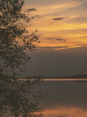ağaç siluetleri ve kızıl gökyüzü arka plan ile renkli günbatımı