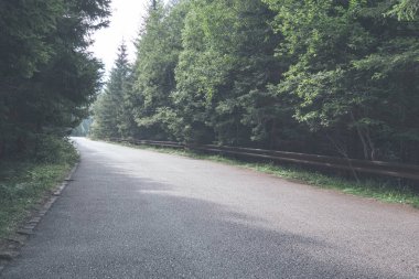 Slovakya'daki Tatra Dağları'nda yürüyüş iz