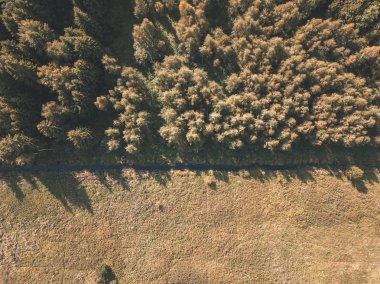 alanları ve ormanları ile kırsal bölgenin havadan görünümü