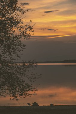 ağaç siluetleri ve kızıl gökyüzü arka plan ile renkli günbatımı