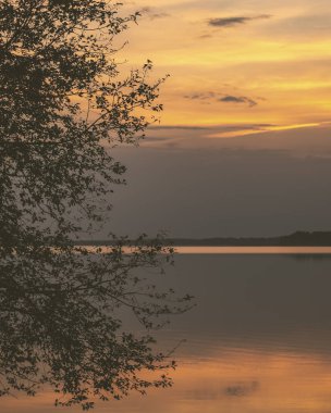 ağaç siluetleri ve kızıl gökyüzü arka plan ile renkli günbatımı