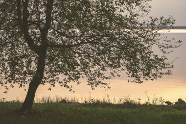 ağaç siluetleri ve kızıl gökyüzü arka plan ile renkli günbatımı