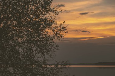 ağaç siluetleri ve kızıl gökyüzü arka plan ile renkli günbatımı