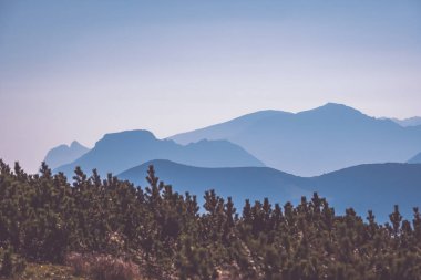 Batı Karpat dağ başında bulutlar ve sis kaplı Güz