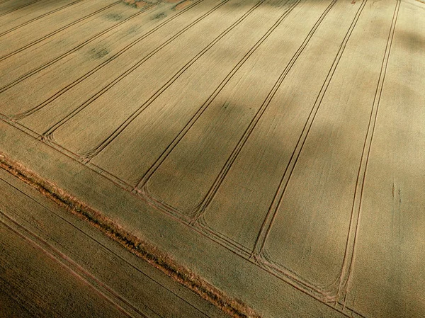 夏の日の緑の畑と農村地域の航空写真 — ストック写真