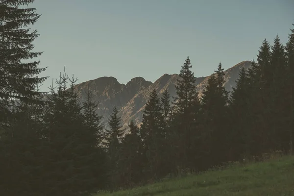 Morning Light Rising Hill Tops Forests Mountains Tatra Slovakia — Stock Photo, Image