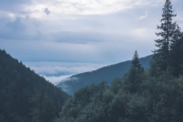 Panoramic View Misty Forest Western Carpathian Mountains — Stock Photo, Image