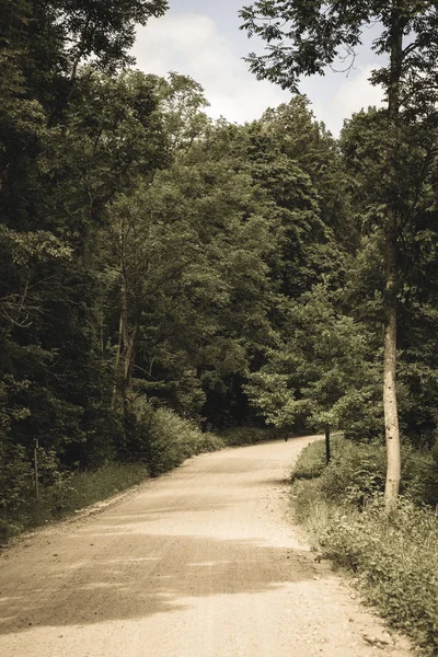 周りの木々 と田舎で夏にシンプルなカントリー砂利道 — ストック写真