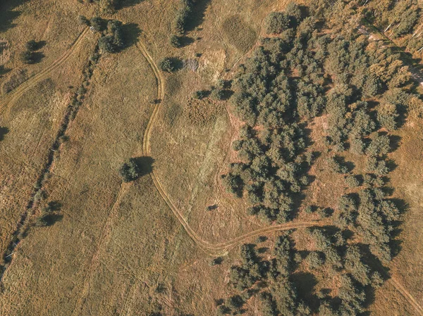 Luchtfoto Van Landelijk Gebied Met Velden Eenzame Bomen Gestructureerde Achtergrond — Stockfoto