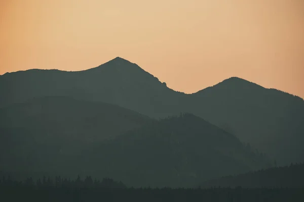 Panoramablick Auf Nebligen Wald Den Westlichen Karpaten — Stockfoto