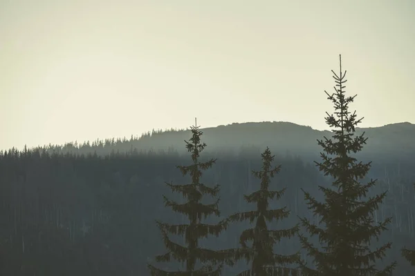 Morning Light Rising Hill Tops Forests Mountains Tatra Slovakia — Stock Photo, Image