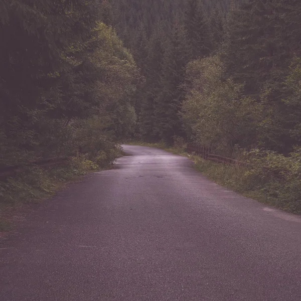 Route Gravier Simple Été Campagne Avec Des Arbres Autour — Photo