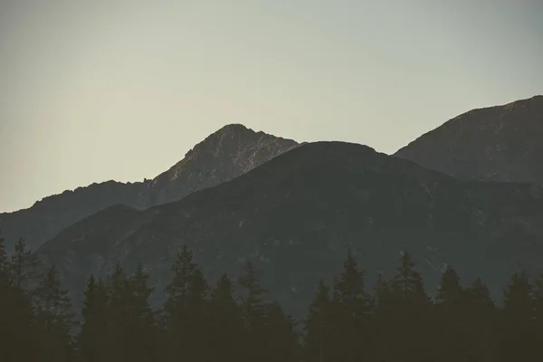 Ранковому Світлі Піднімається Над Пагорб Вершини Лісу Горах Татри Словаччина — стокове фото