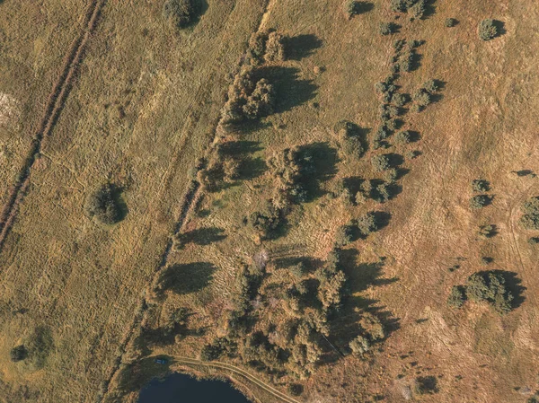 Vista Aérea Área Rural Com Campos Árvores Solitárias Fundo Texturizado — Fotografia de Stock