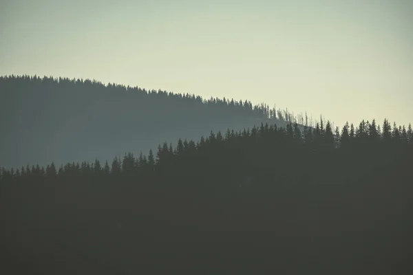morning light rising over hill tops and forests in mountains Tatra in Slovakia