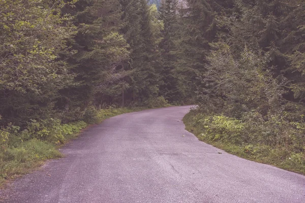 Route Gravier Simple Été Campagne Avec Des Arbres Autour — Photo