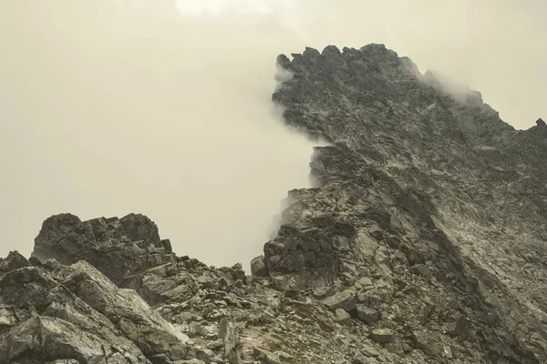 Slovakya'daki Tatra Dağları Rocky keskin dağ başında bulutlar ve sis