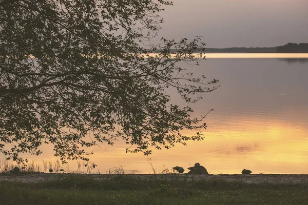 Färgsprakande Solnedgång Med Träd Siluetter Och Röd Himmel Bakgrunden — Stockfoto