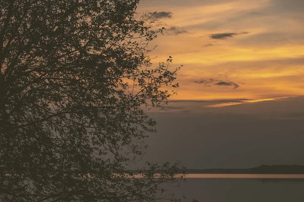 ağaç siluetleri ve kızıl gökyüzü arka plan ile renkli günbatımı