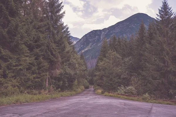 Asphalted Road Leading Mountains Forest — Stock Photo, Image