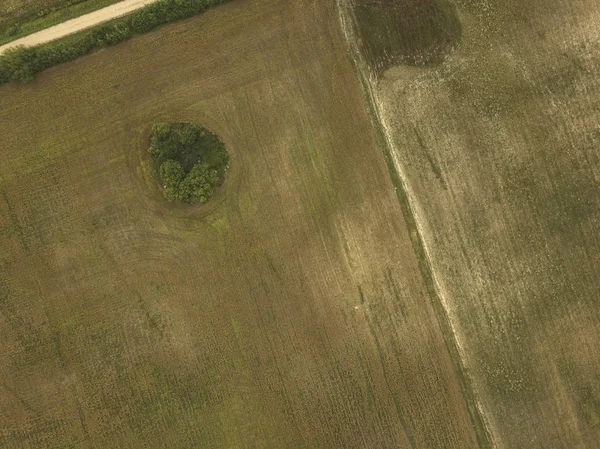 Luchtfoto Van Landelijk Gebied Met Velden Eenzame Bomen Gestructureerde Achtergrond — Stockfoto