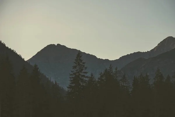 Ранковому Світлі Піднімається Над Пагорб Вершини Лісу Горах Татри Словаччина — стокове фото