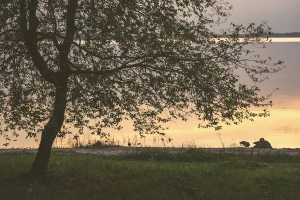 Färgsprakande Solnedgång Med Träd Siluetter Och Röd Himmel Bakgrunden — Stockfoto