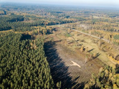alanları ve ormanları sonbahar sezonu, kırsal alanın havadan görünümü 