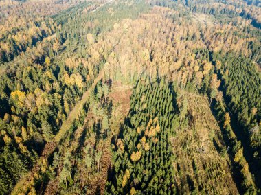 alanları ve ormanları sonbahar sezonu, kırsal alanın havadan görünümü 