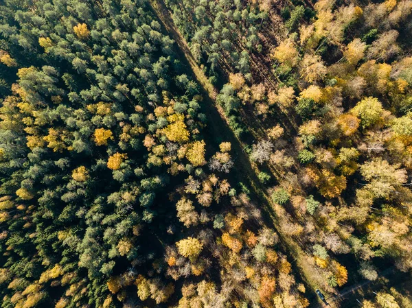 Воздушный Вид Сельскую Местность Полями Лесами Осенний Сезон — стоковое фото