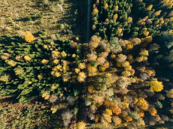 Vista Aérea Zona Rural Com Campos Florestas Outono — Fotografia de Stock