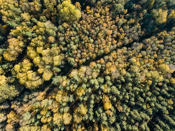 Воздушный Вид Сельскую Местность Полями Лесами Осенний Сезон — стоковое фото