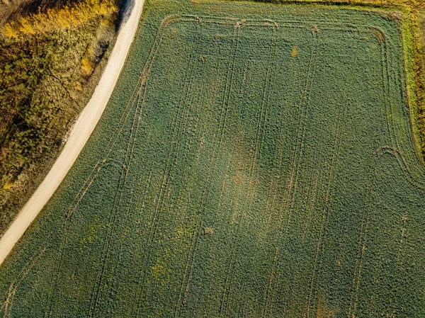 Letecký Pohled Dopravní Křižovatce Podzimní Krajině Dlouhými Stíny Stromů — Stock fotografie